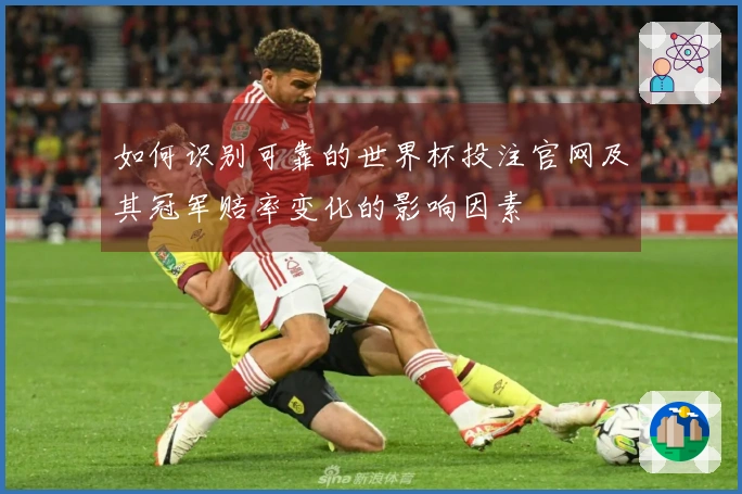 如何识别可靠的世界杯投注官网及其冠军赔率变化的影响因素