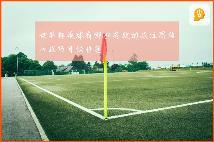 世界杯滚球有哪些有效的投注思路和技巧可供借鉴