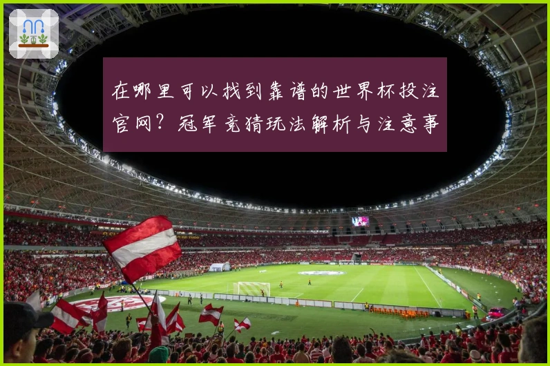 在哪里可以找到靠谱的世界杯投注官网？冠军竞猜玩法解析与注意事项