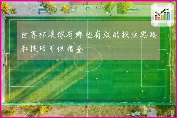 世界杯滚球有哪些有效的投注思路和技巧可供借鉴
