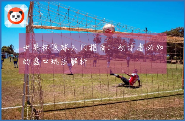 世界杯滚球入门指南：初学者必知的盘口玩法解析